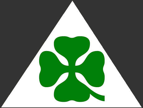File:4-leaf clover.JPG - Wikipedia