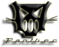 PANTHER logo copy.png