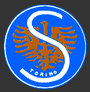 Storero logo.jpg