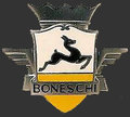 Boneschi logos1.jpg